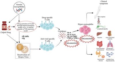 Drug rash with eosinophilia and systemic symptoms (DRESS) syndrome in childhood: a narrative review